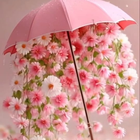 Liquidation women's - Picture 1 of 1